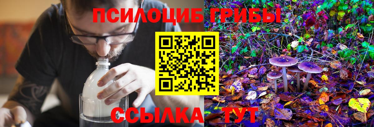 Оренбург  Псилоцибиновые грибы Psilocybe  Вход с VPN  Псилоцибиновые грибы Psilocybine cubensis 